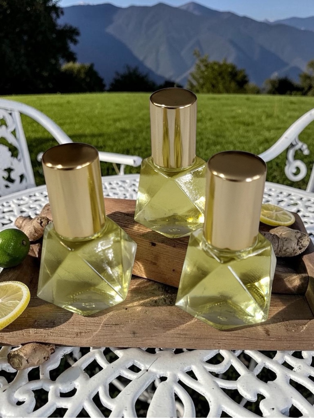 Orchid & Vine Aromatherapy Body Oil Scent Roller Luxury Beauty Citrus Bliss